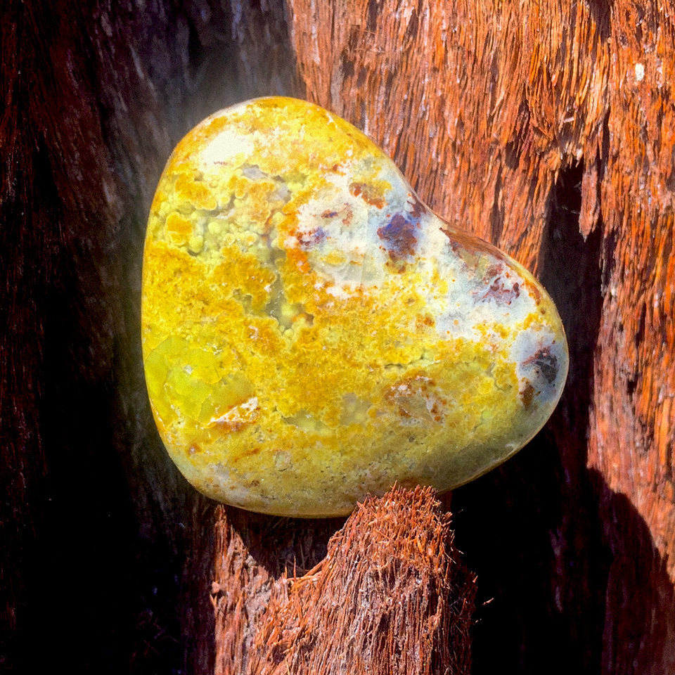 Rebecca-Dove-Sieling-Akashic-Records-reading